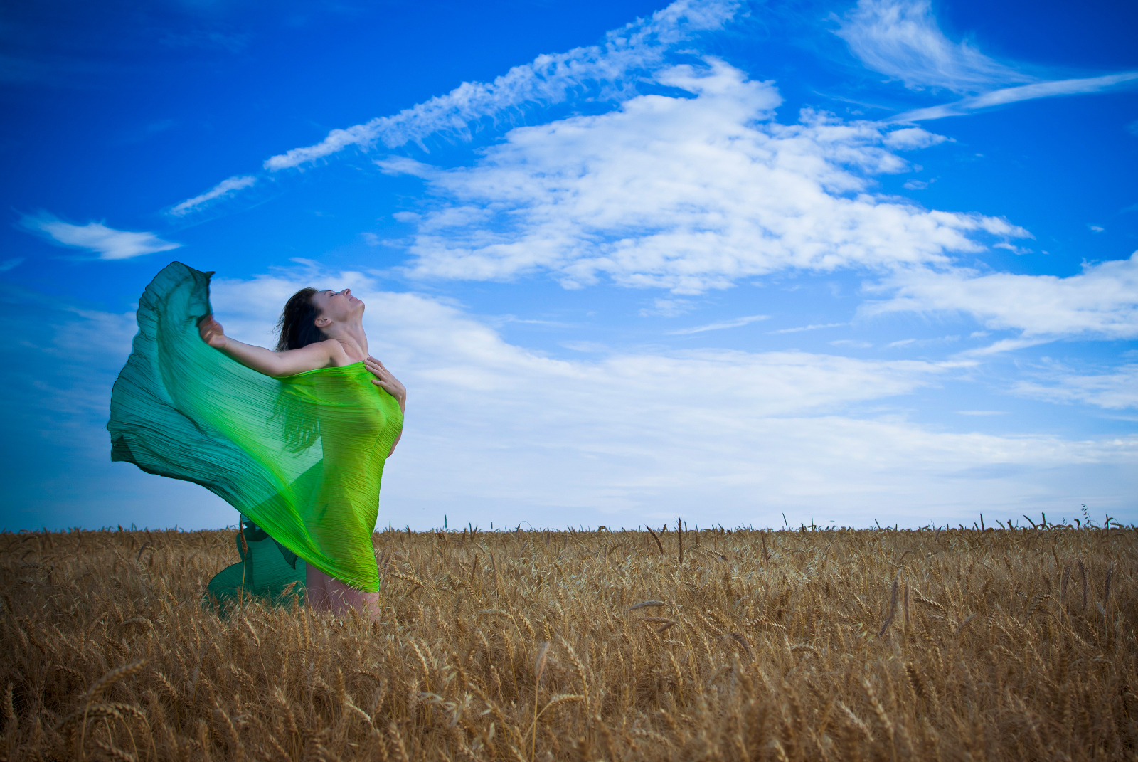  MGL9654 copie Modifier copie copie